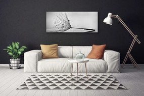 Duży obraz na płótnie Dywan Czerwonych Maków na Łące