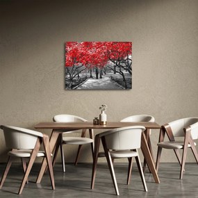Obraz - Czerwone drzewa, Central Park, New York (70x50 cm)