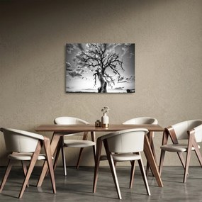 Obraz na szkle - Czarno - białe drzewo (70x50 cm)