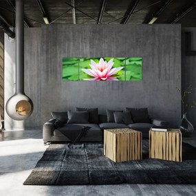 Obraz lilii wodnej na powierzchni (170x50 cm)
