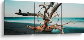 Obraz - Wyłowiono na plaży (z zegarem) (90x30 cm)
