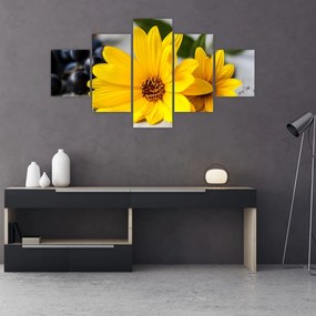Obraz żółtych kwiatów (125x70 cm)