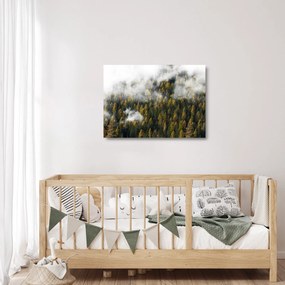 Obraz na szkle lasu w chmurach (70x50 cm)