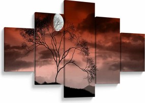Obraz - Księżyc oświetlający noc (125x70 cm)