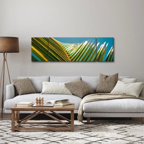 Obraz - Detal liścia palmowego (170x50 cm)