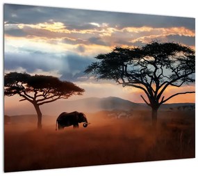 Obraz - Park Narodowy Serengeti, Tanzania, Afryka (70x50 cm)