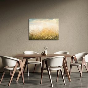 Obraz - Pole jesienią (70x50 cm)