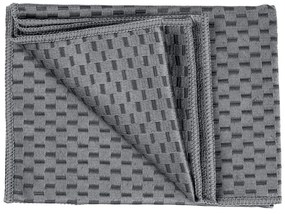 Ścierki z mikrowłókna zestaw 2 szt. 40x60 cm Miko – Wenko