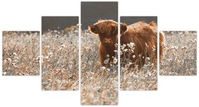 Obraz - Szkocka krowa w kwiatach (125x70 cm)