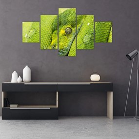 Obraz węża (125x70 cm)