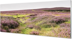 Szkło do Kuchni na Ścianę Morze Fioletowych Wrzosów