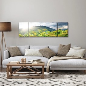 Obraz plantacji (170x50 cm)