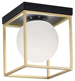 Lampa sufitowa plafon APP1166-1C Gold White