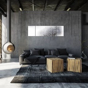 Obraz - Zimowa aleja (170x50 cm)