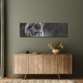Obraz - Wiewiórka zimą (170x50 cm)