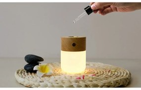 Elektryczny dyfuzor Smart – Gingko