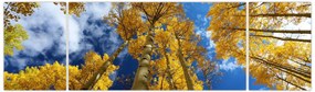 Obraz - Aspen (170x50 cm)