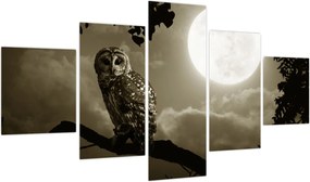 Obraz - Nocna sowa, złoty (125x70 cm)