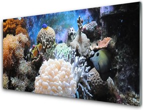 Szkło Ozdobne do Kuchni Bogactwo Oceanicznej Rafy