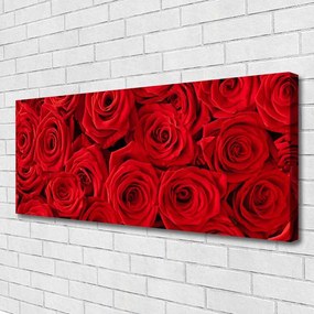 Obraz Canvas Róże Kwiaty Roślina