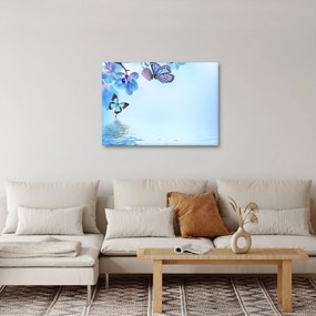 Obraz - Motyl na kwiatach orchidei, niebieski (70x50 cm)