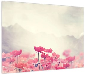 Obraz - Maki (70x50 cm)
