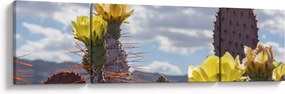 Obraz opuncji (170x50 cm)