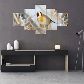 Obraz - Szczygieł (125x70 cm)