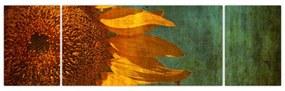 Obraz - Słonecznik (170x50 cm)