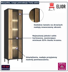 Witryna przeszklona z podświetleniem LED dąb mauvella N9-A99