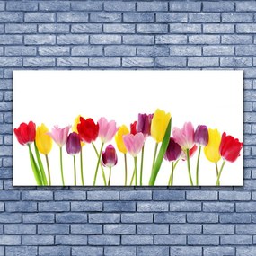 Obraz na płótnie Wiosenna Kompozycja Tulipanów
