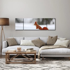Obraz wiewiórki (170x50 cm)