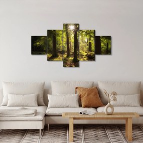 Obraz sennego lasu (125x70 cm)