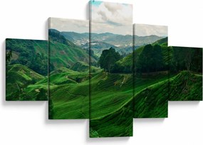 Obraz - Plantacje herbaty w Malezji (125x70 cm)