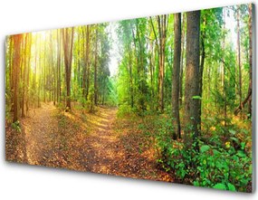 Panel Kuchenny Głusza Starego Lasu