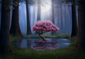 Fototapeta - Magiczna noc (196x136 cm)