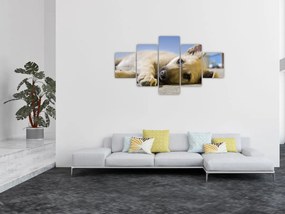 Obraz leżącego szczeniaka (125x70 cm)