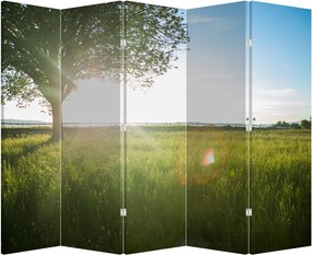 Parawan - Letnia łąka (210x170 cm)