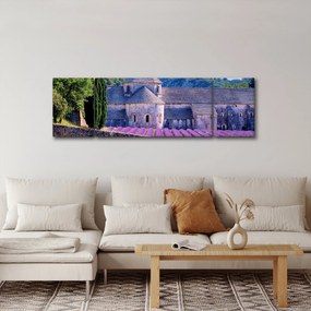 Obraz - Lewandowe pole (170x50 cm)