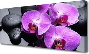 Fotoobraz na płótnie Elegancki Rozkwit Kwiatu