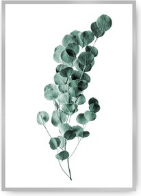 Plakat Eucalyptus Emerald Green
