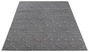 Dywan ELSHER GRAY 160x220 szary ELTAP