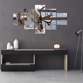Obraz - Sat (125x70 cm)