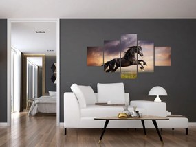 Obraz - Konie (125x70 cm)