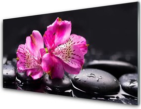 Panel Szklany Harmonia Kamieni i Kwiatów