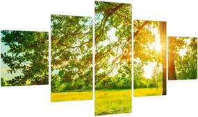 Obraz - Słoneczny Las (125x70 cm)