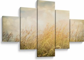 Obraz - Pole jesienią (125x70 cm)