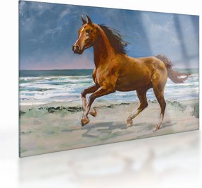 Obraz na szkle konia na plaży (70x50 cm)