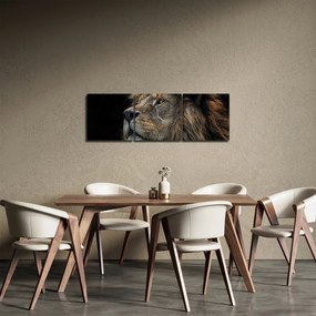 Obraz - Majestatyczny lew (z zegarem) (90x30 cm)