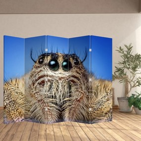 Parawan - Szczegół pająka (210x170 cm)